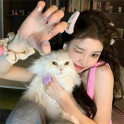 出柙猛虎