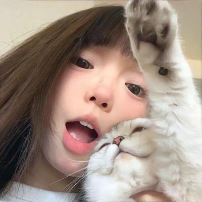 狗的审判